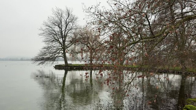 A grey winter day in Cham at Lake Zug&rsquo;s Vilette Park, with empty paths, quiet nature, and fresh air inviting rest, reflection, and peaceful recovery.