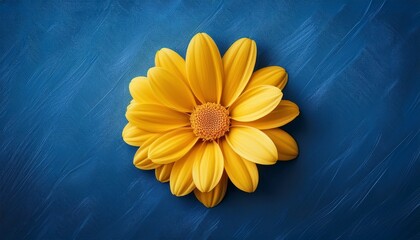 single yellow flower on blue textured background ideal for greeting cards blogs or spring themes