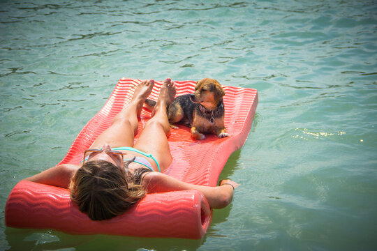 Upside down view of a Woman in a bikini lying on an air mattress pool float with her beagle