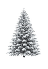 Fototapeta premium Majestic, symmetrical conical fir tree covered in transparent powdery snow, emphasizing texture, isolated on a transparent high-key studio background. concept of winter purity and christmas elegance