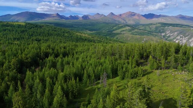Green spruce trees on rocky mountain slopes, blue clouds in the sky, drone view