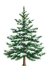 Obraz premium lush, detailed watercolor spruce tree illustration in deep forest green, snow-dusted, centered on transparent background with ample copy space. concept of elegant holiday design