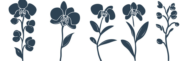Set of black orchid flower silhouettes with leaves and buds isolated on white background minimalist flat vector design for botanical and floral decoration use in natural themes and art projects