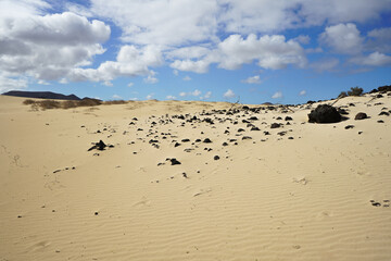 Captivating photo from Fuertaventura's sand dunes under a blue sky