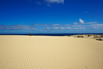 Captivating photo from Fuertaventura's sand dunes under a blue sky