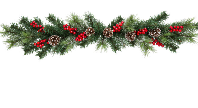 symmetrical christmas garland swag of fraser fir and scotch pine, adorned with vivid red holly berries, pinecones, and white frost, isolated on a transparent background. concept for holiday - Powered by Adobe