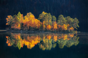 Amazing autumn  landscape of islands with pine-trees in the middle of Eibsee lake.