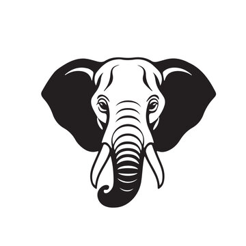 Elephant Head Vector  - Single Color Black Line Art. A detailed black vector illustration of an African elephant head. This is a single-color graphic with no white fill