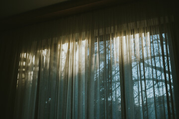 window in the window