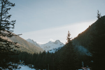 fog in the mountains