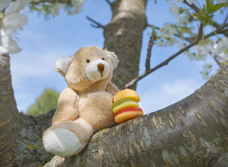 Teddy bear with hamburger in a tree