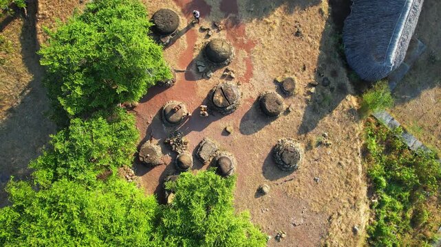 Aerial drone footage from above of cultural rond graves and stones in the middle of a traditional thatched wooden houses village, with dry earth, green trees, in Sabu island, Indonesia