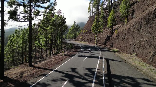 A lone cyclist navigates a scenic winding mountain road, surrounded by lush pine forests and a dramatic hillside. Clouds linger in the distance, creating a serene and adventurous outdoor scene.