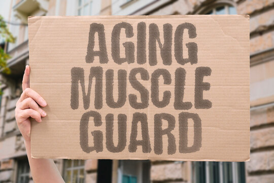 "Aging Muscle Guard" Can peptides slow sarcopenia alongside training? AGING. MUSCLE. SARCOPENIA. TRAINING. EVIDENCE.