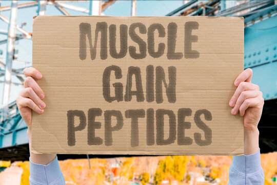 "Muscle Gain Peptides" Which mechanisms are proposed and what remains uncertain. MUSCLE. GAIN. MECHANISM. RESULTS. RISK.