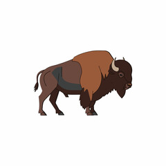 American bison buffalo vector illustration isolated on white background © Reni