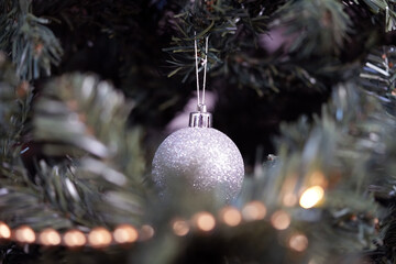 Silver Glitter Christmas Bauble Hanging on Pine Tree Branch
