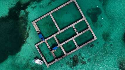 Dolphin Island At Punta Cana In La Altagracia Dominican Republic. Swimming With Dolphins Tour....