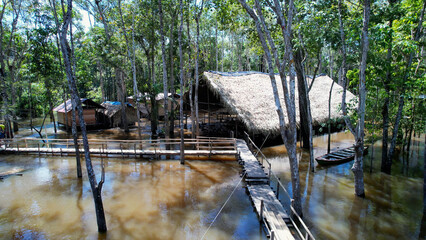 Naklejka premium Aboriginal Indian Tribe In Manaus Amazonas Brazil. Capturing The Effects Of Flooding In The Amazon Rainforest. Travel Environment Wilderness Jungle. Outdoor Wilderness Rainy Season. Manaus Amazonas.