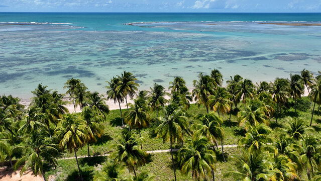 Patacho Beach In Sao Miguel Dos Milagres Alagoas Brazil. Aerial View Of Stunning Beach With Crystal Clear Waters. Coast Horizon Seaside Summertime. Coast Panoramic. Sao Miguel dos Milagres Alagoas.