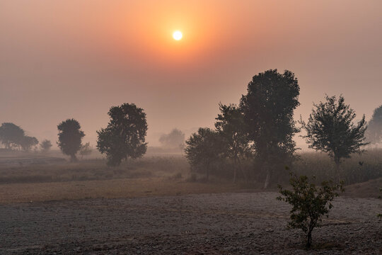 Sunrise above fields near Vehari, Punjab province, Pakistan