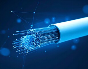 Connectivity and wires. Network. Internet.