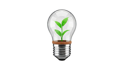 Lightbulb with seedling inside, symbolizing growth and new ideas