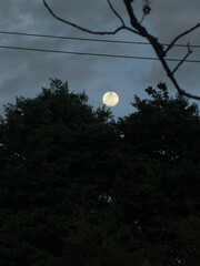 La luna llena en la ciudad