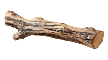 Natural wooden log with unique textures, isolated on white background.