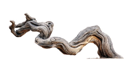 Unique and artistic driftwood piece on a white isolated background.
