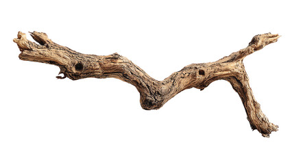 Fototapeta premium Unique driftwood piece with intricate textures, perfect for decoration.