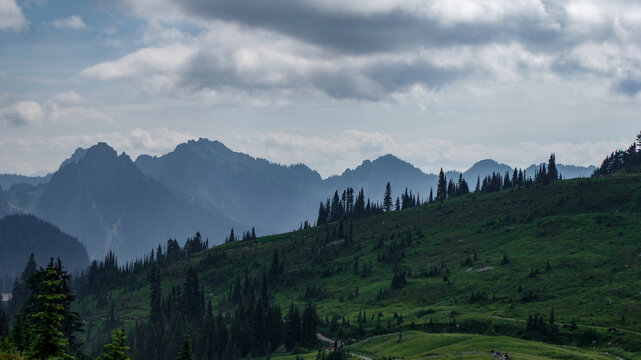 Mt. Ranier
