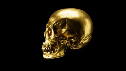 Luxury golden human skull isolated on black background, high resolution premium metallic skeleton 3D illustration.