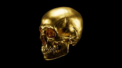 Luxury golden human skull isolated on black background, high resolution premium metallic skeleton 3D illustration.