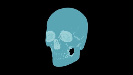 Blue x-ray style human skull isolated on black background, high resolution medical hologram or ice skeleton 3D illustration.