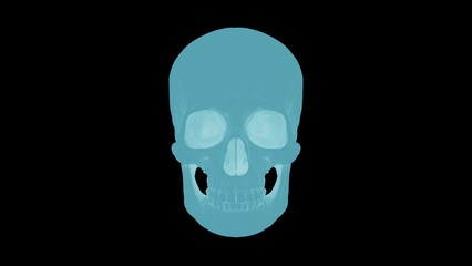 Blue x-ray style human skull isolated on black background, high resolution medical hologram or ice skeleton 3D illustration.