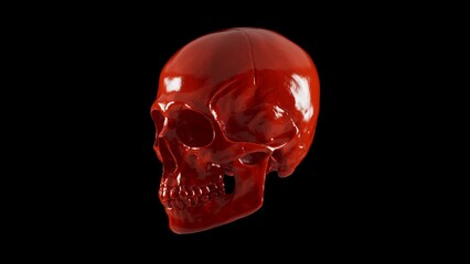 Glossy red human skull isolated on black background, high resolution bloody or plastic art skeleton 3D illustration.
