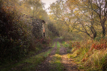 Abandoned ruin stone house in the middle of the forest in the trail path of the village of Olalhas - Tomar - central Portugal