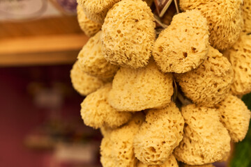 Visually appealing cluster of natural sea sponges hanging for sa