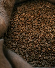 G&atilde;os de Caf&eacute;