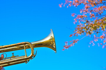 紅葉を背景にしたトランペットの演奏風景