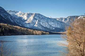 Panoramic view of Lake Bohinj (Bohinjsko jezero) in Slovenia, with calm blue water, winter forest and snowy Julian Alps peaks under a bright sky, capturing the alpine landscape and season.