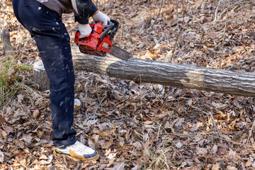 man with chainsaw cutting tree