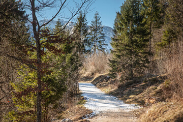 Snowy hiking path in the Julian Alps of Slovenia winding through forest, with icy patches, conifers and distant mountains, showing winter trekking conditions and the need for caution on trails.