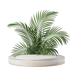 Obraz premium Natural Stone Podium With Tropical Green Plants Isolated Transparent Background