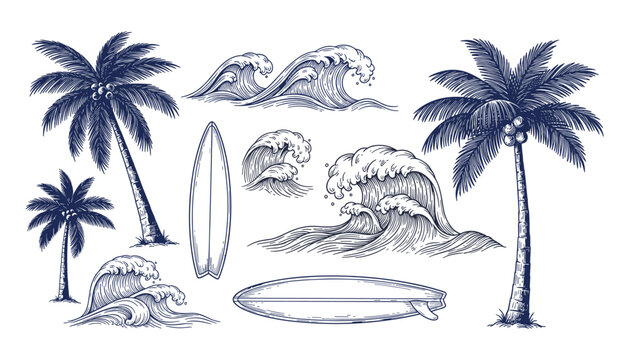 Ocean waves surfing boards and palm trees vector set on white background
