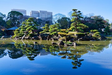 Fototapeta premium Keitakuen Garden - A traditional Japanese garden in Tennoji Park, Osaka