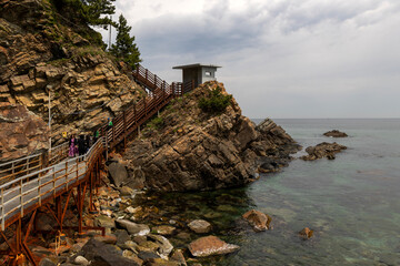 East Coast sea fan road and military outpost