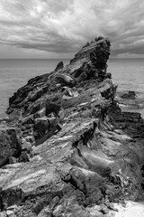 rocks on the beach balck and white

