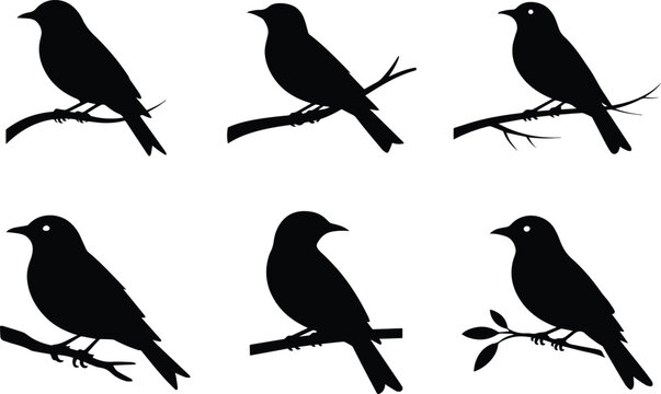 Minimalist black bird perched on a branch silhouette vector icon